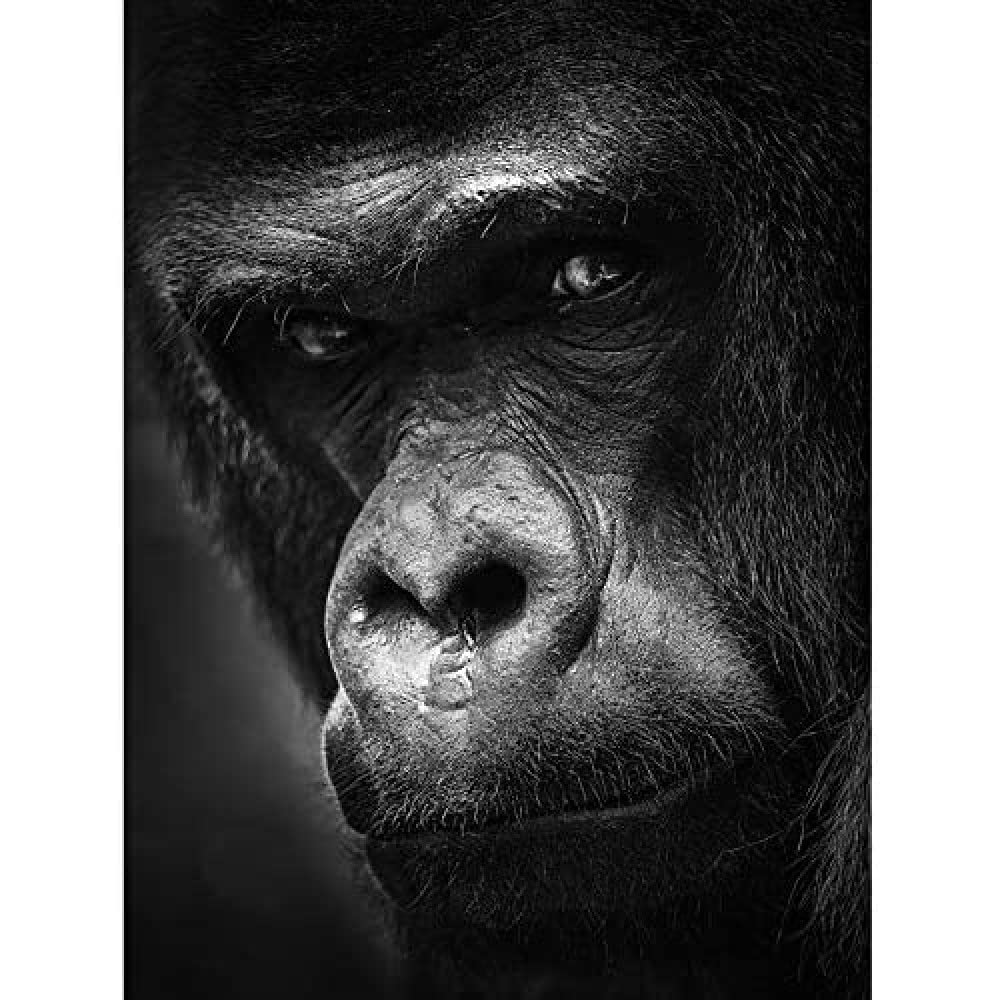 Artery8 Warby Western Lowland Gorilla Face Close Up Photo Art Print Canvas Premium Wall Decor Poster Mural
