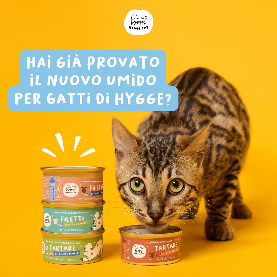 Filetes de atún al 70% | Comida húmeda para gatos sin granos con omega 3 y 6 | Cajas de gato 36 x 70 g naturales | Comida para gatos completa sin cereales | Fabricado en Italia | Hygge Cat