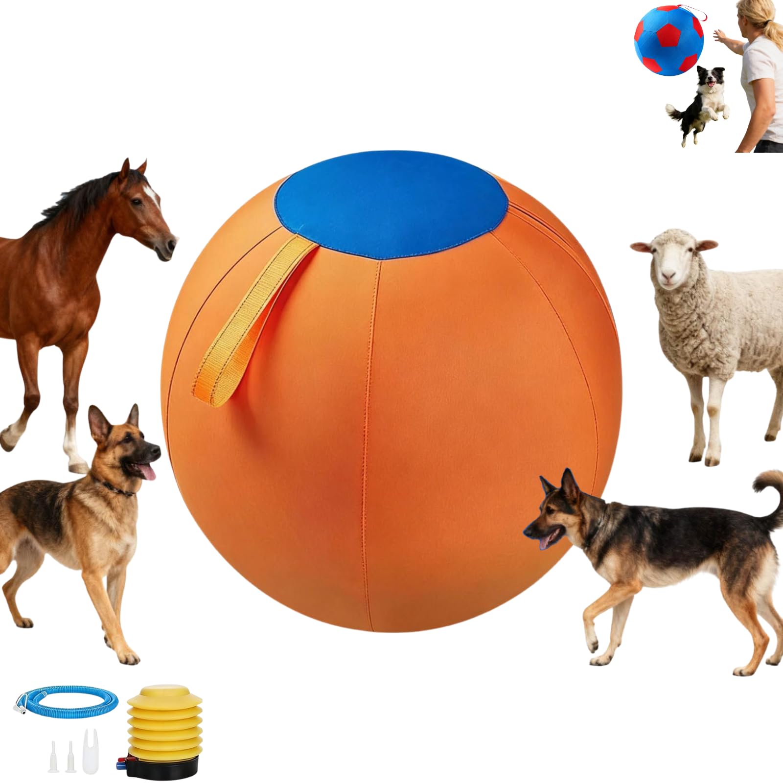 Giant Dog Ball, Herding Ball for Dogs, Durable Inflatable Ball for Dogs, Mental Stimulation & Push-and-Chase Play for Outdoor Exercise (Orange_45cm)