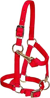 Weaver Mini Adj Nylon Halter Brass Lrg Mini Red
