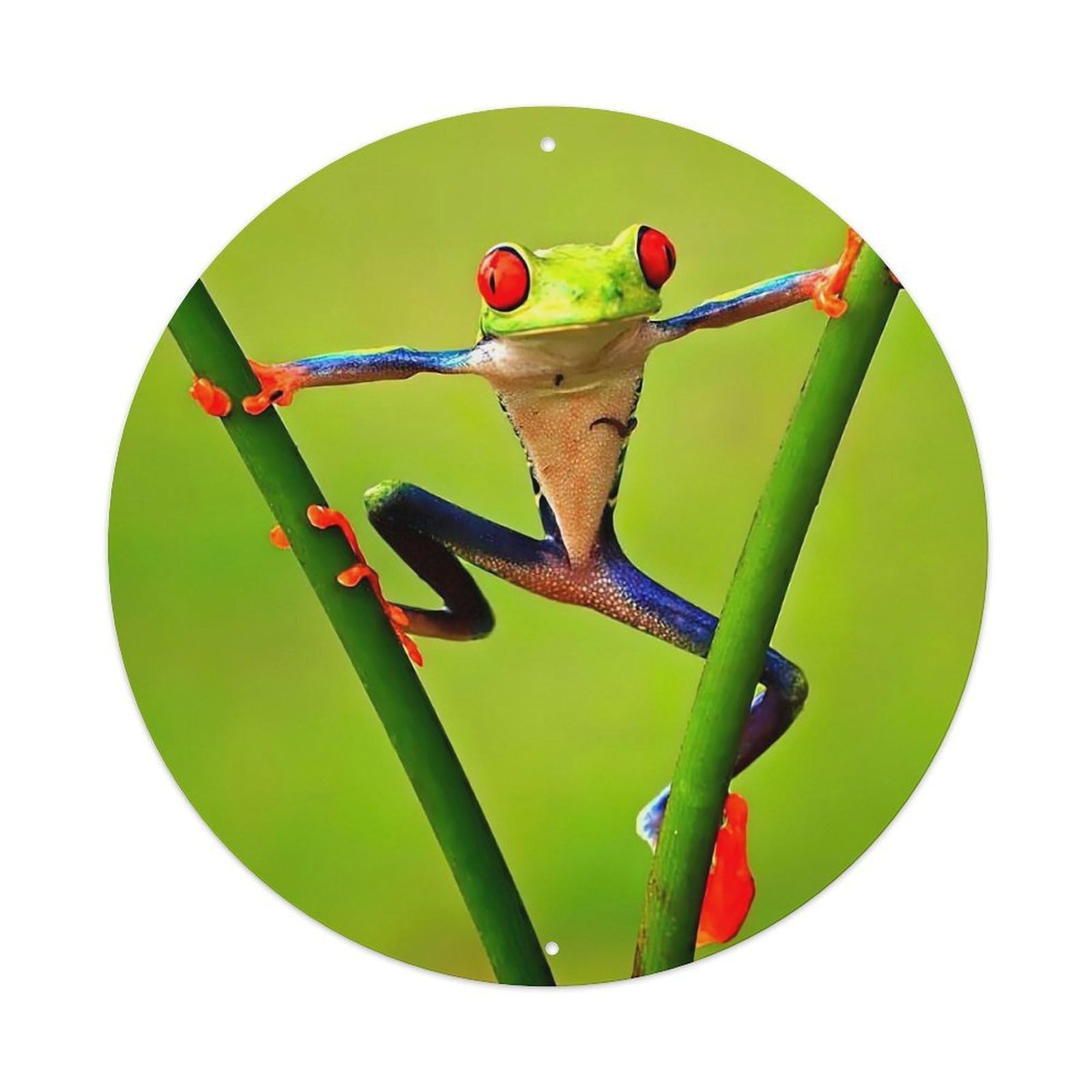 Green Frog Amphibian Rainforest Wildlife Metal Tin Sign