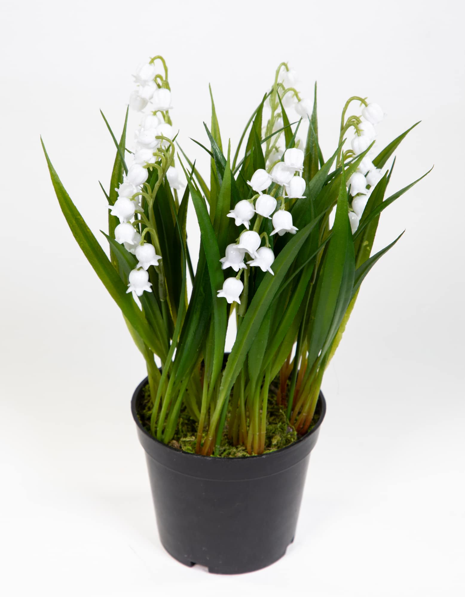 Amazon.de: Seidenblumen Ro Maiglckchen 22cm wei im Topf JA Galanthus  Kunstblumen knstliche Blumen Pflanzen