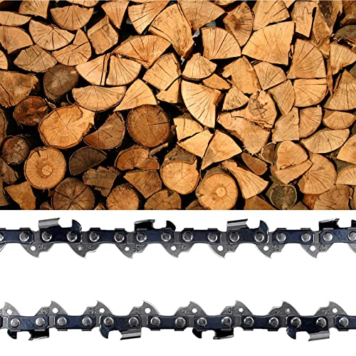 Opuladuo 2PC 10 Inch Chainsaw Chain for Craftsman CMCCS610D1, 10" Replacement Chain for Craftsman CMCCS610B / CMCCS610D1 Chain Saw