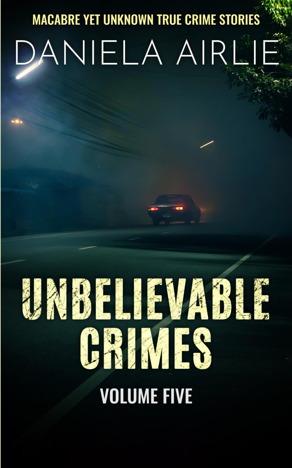 Unbelievable Crimes Volume Five: Macabre Yet Unknown True Crime Stories