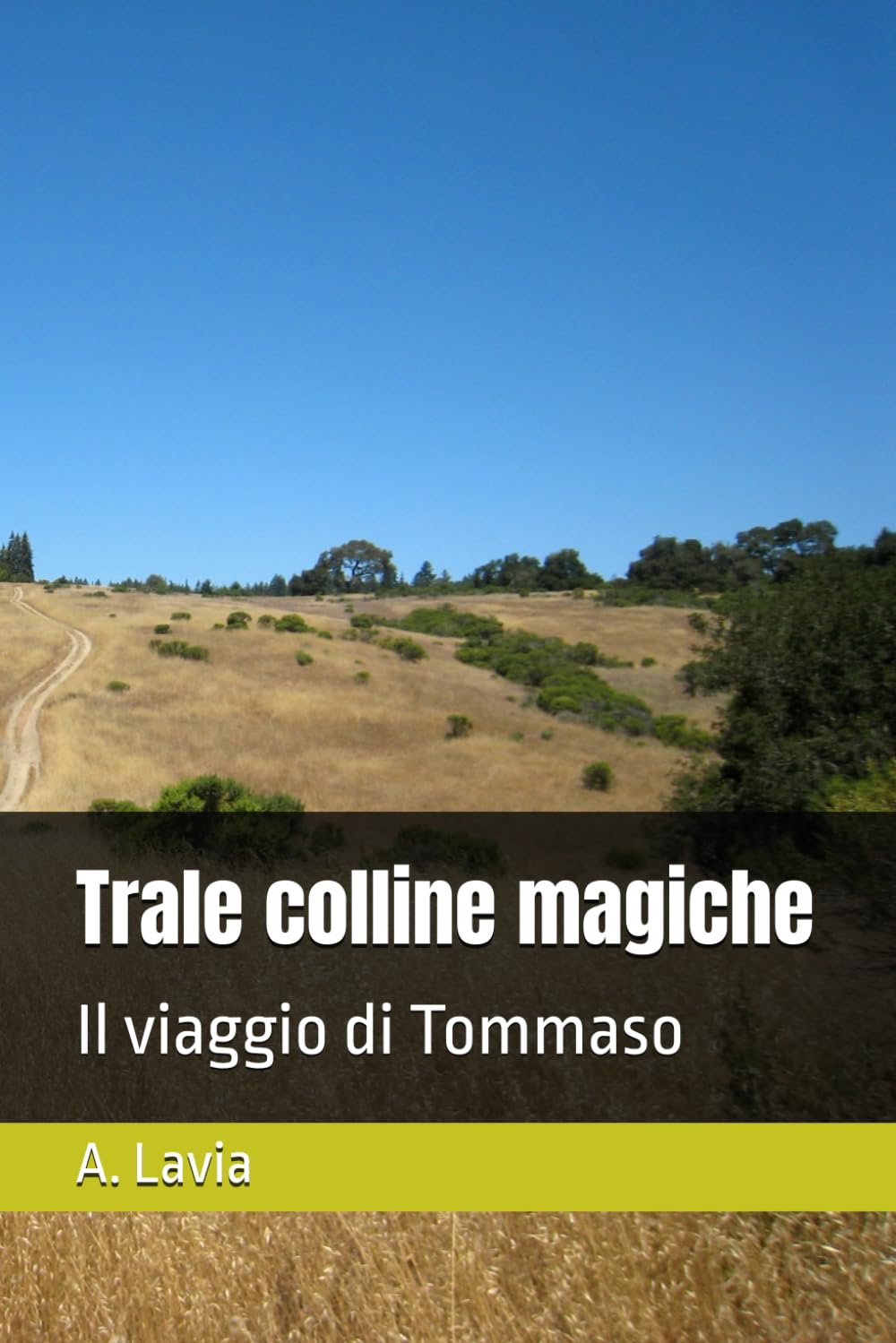 Trale colline magiche: Il viaggio di Tommaso