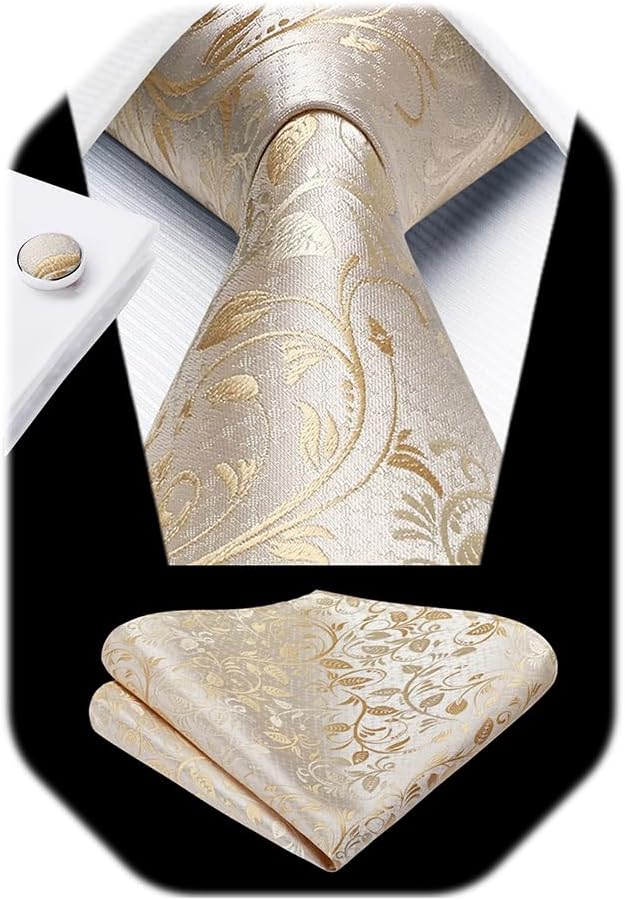 HISDERN Ties for Men Paisley Floral Mens Ties and Pocket Square Cufflinks Set Classic Business Necktie Handkerchief
