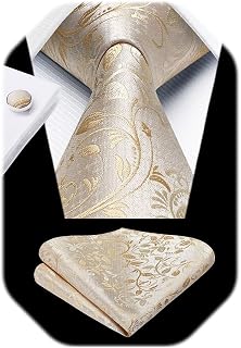 Ties for Men Paisley Floral Mens Ties and Pocket Square Cufflinks Set Classic Business Necktie Handkerchief