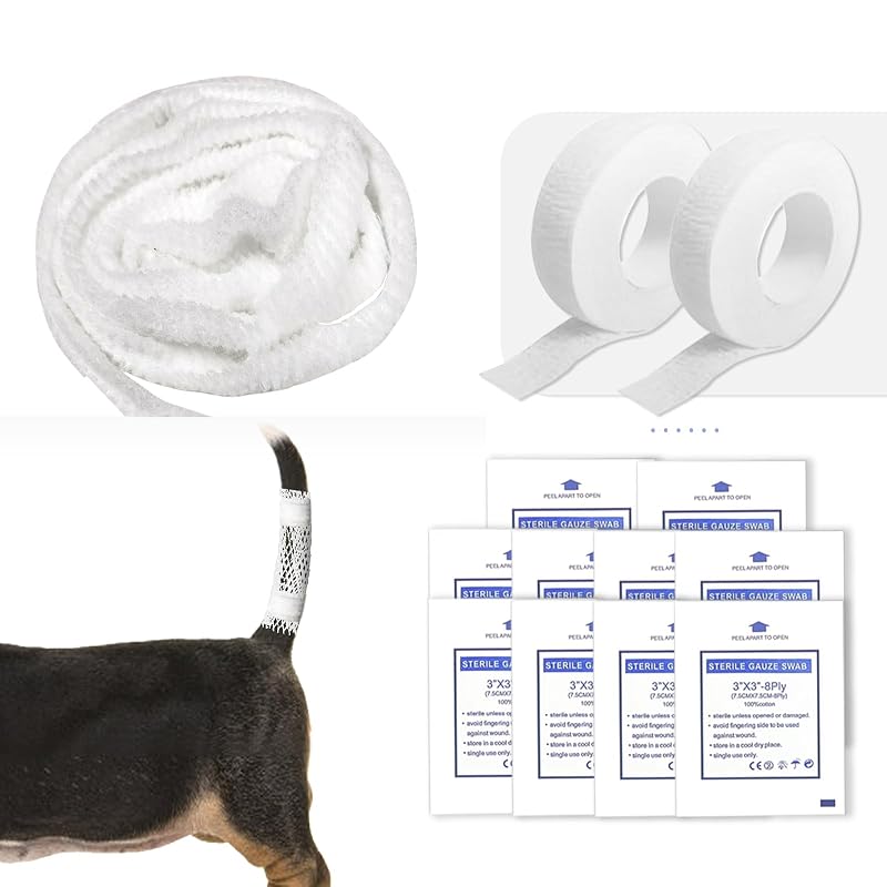 Kit de Curativos para Feridas de Cães, Gatos e Cavalos FEXICHUJI F01 – 13 Peças
