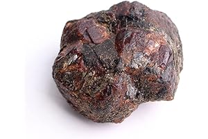 WARTHY 1PC Natural Crystal Garent Rough Minerals Wine Red Stone Rock Specimen Collection