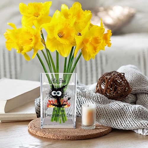 Miniatura 5 de Vgrti It's Fine I'm Fine Soporte para Lápices y Bolígrafos Cosméticos de Acrílico, Divertido Soporte para Bolígrafos de Gato Negro, Regalo para