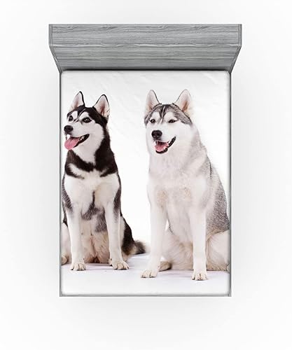Miniatura 7 de Ambesonne Alaskan Malamute Fitted Sheet, Furry Arctic Doggies Husky Whelp Pedigree Pet Happy Siberian Mammal, Bed Cover with All-Round Elastic Deep