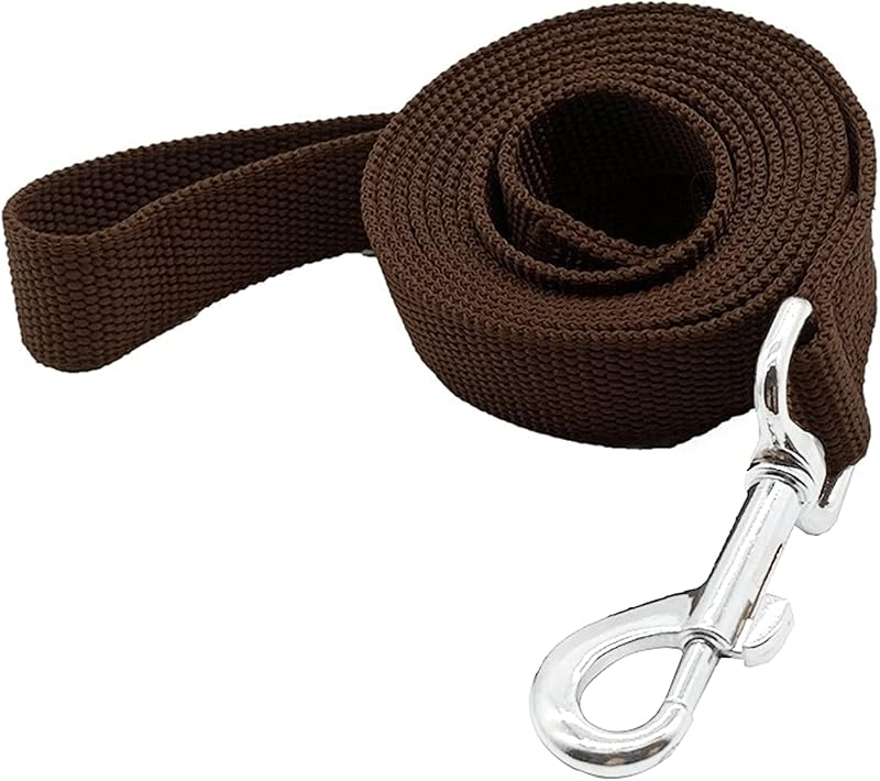 Guia para Cães em Nylon Resistente TAIDA, 3,05 m x 2,54 cm, Modelo 05
