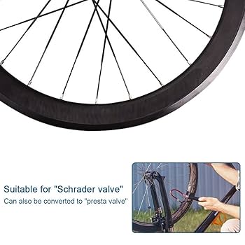 Bianchi - 451 ホイールセット フリーボディ付 Amazon | 20 インチホイールセット 406/451 ミリメートル二重壁