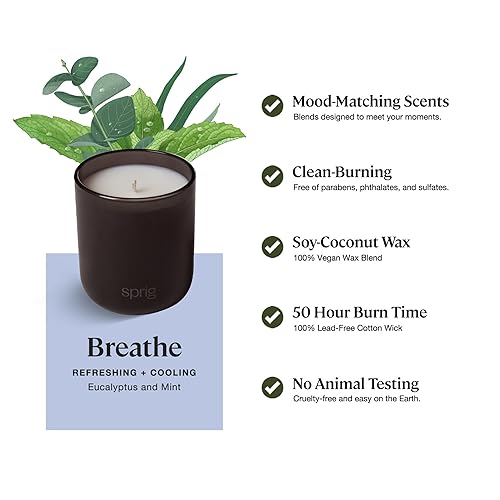 Vista 3 de Sprig by KOHLER Breathe - Vela de aromaterapia con eucalipto y menta, cera de soja 100% natural, aroma refrescante y refrescante, regalo