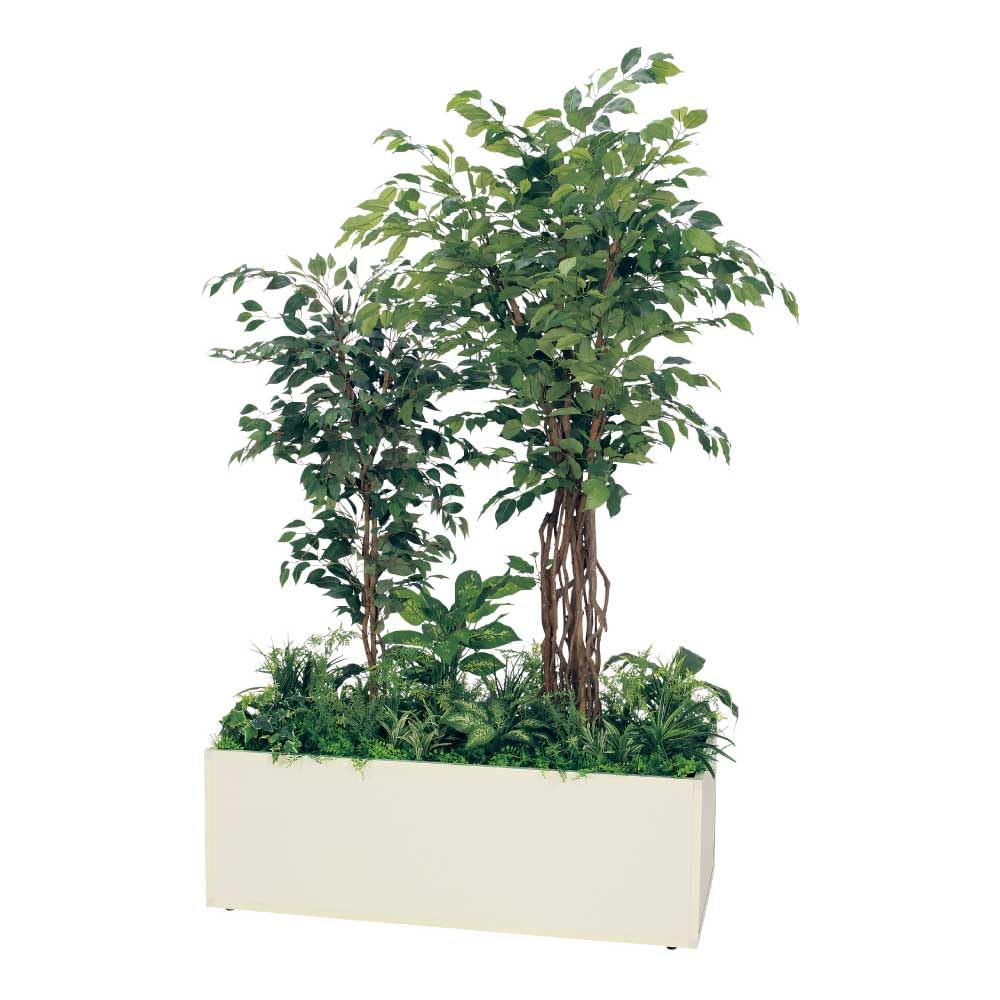 Amazon｜寄せ植えプランター 1300×2100×1000 フィカスベンジャミン