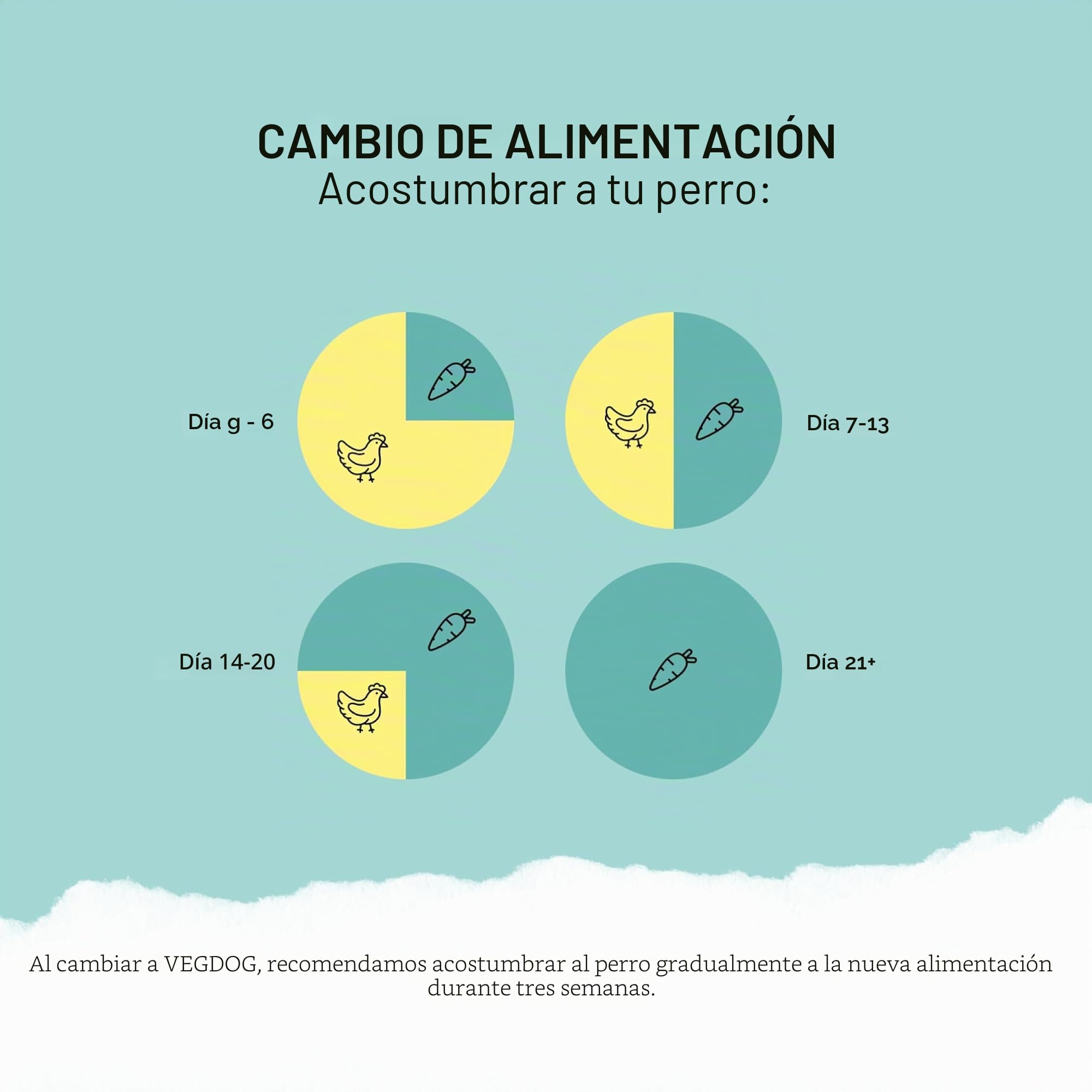VEGDOG Comida húmeda Vegana Sensitive para Perros Adultos sensibles con proteína de altramuz y Amaranto, alimento Completo sin Cereales para Personas alérgicas con Fuente Alternativa de proteínas, | Con proteína de altramuz – alimento completo bien digeri