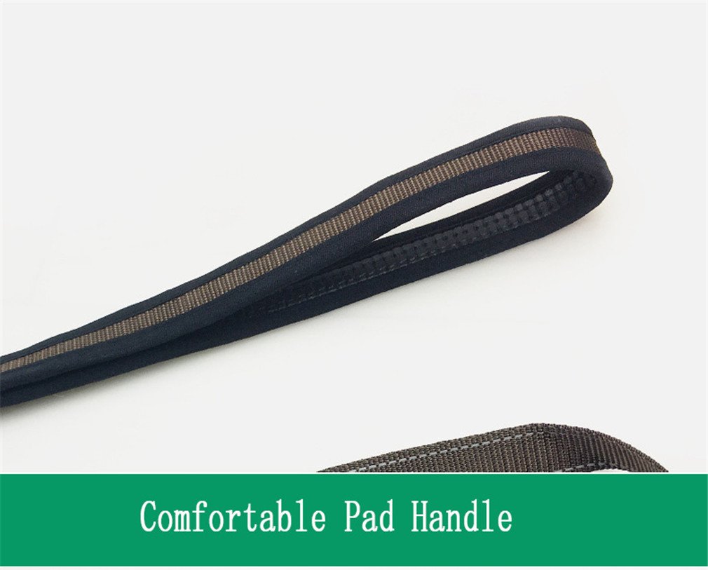 Scegliere Produttore Alta Qualità Modo Cane Che Cammina E Modo - Foto 8