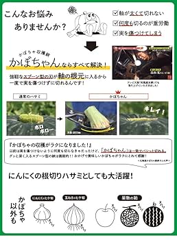Amazon | SUWADA かぼちゃの軸 にんにくの根切りハサミ かぼちゃ