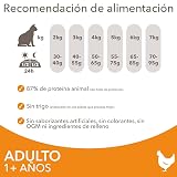 Ver la foto 5