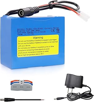 12V 3000mAh Rechargeable Lithium Battery, Bare Leads Wire Replacement Battery Pack with Charger for 12V Devices RC Car, Boat, Robot, DIY, LED Light Strip, CCTV Camera guarden Pump