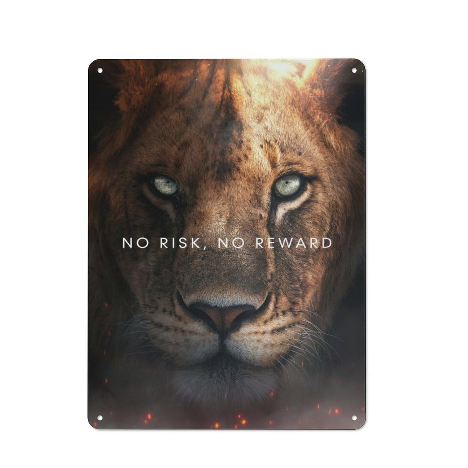 Junmoney No Risk No Reward Metal Wall Sign 40X30cm Featuring For Home Bar Wall, For Themed Interiors In Home Bars And Entertaining Spaces