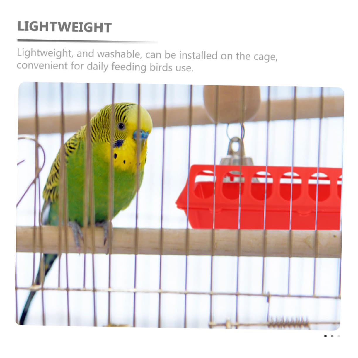 4 pièces Mangeoire pour Pigeons Capacité Large Alimentation Pratique pour Petits Oiseaux et Poulets pour Élevage Domestique