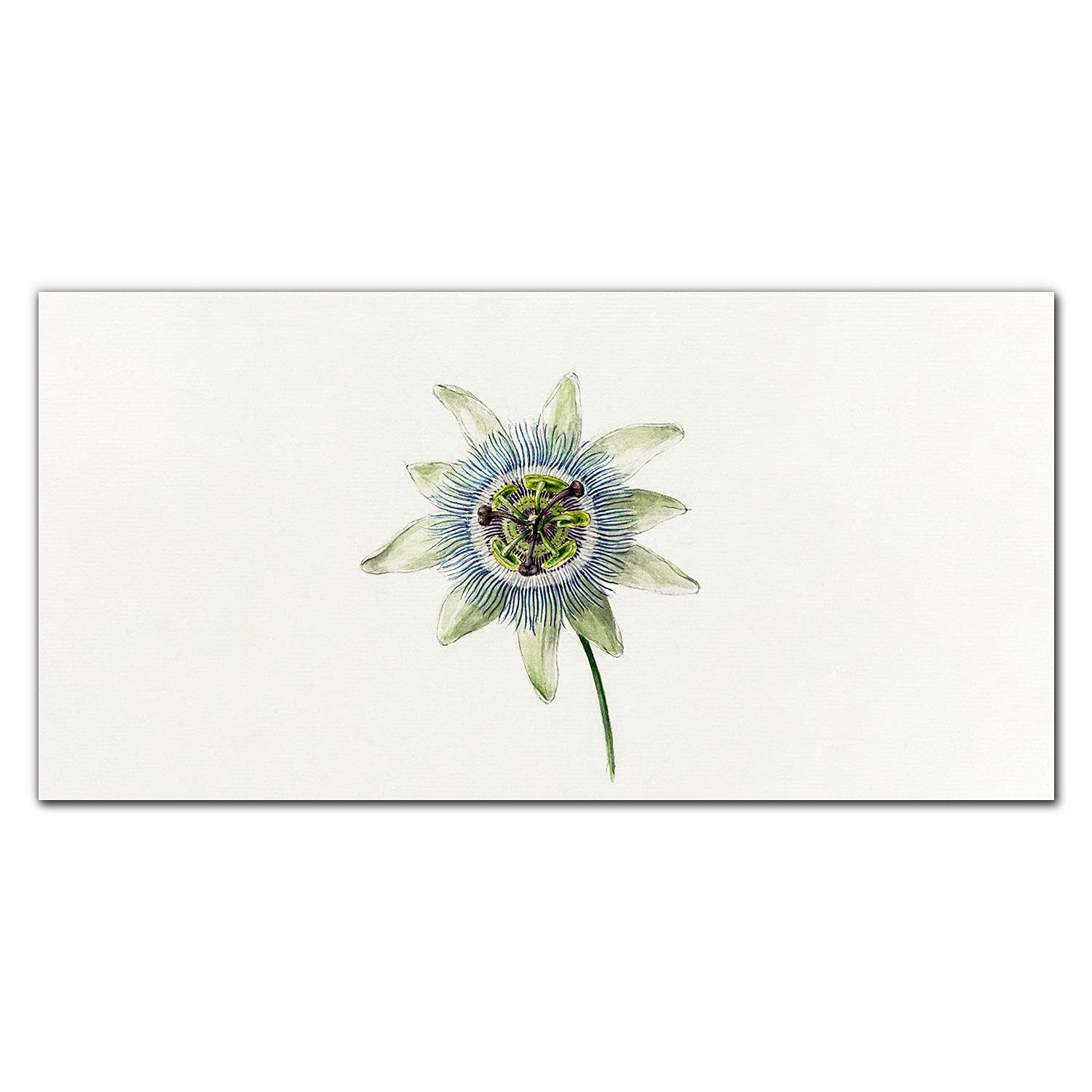 Crédence de cuisine en verre trempé 100x50 cm motif plante fleurs