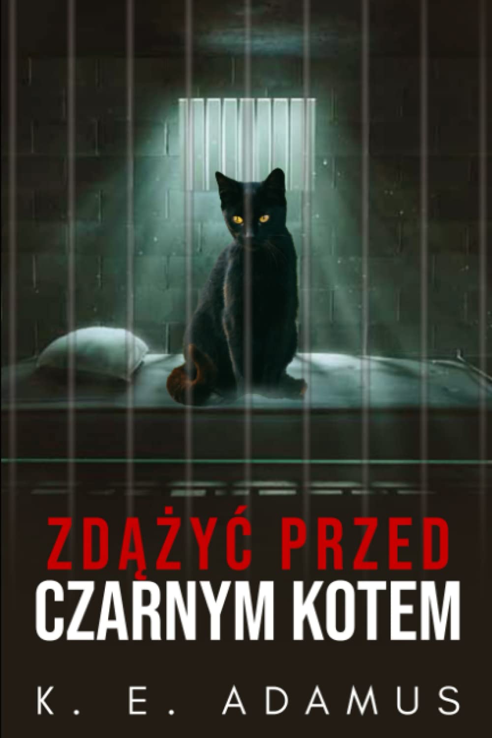 Zdążyć przed czarnym kotem