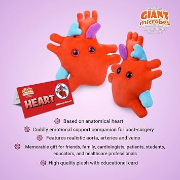 GIANT MICROBES Heart Plush, Biology Stuffed Animal, Organ Transplant Gifts, Anatomical Heart, Cardiac Nurse Gift, Cardiology Gift, Surgery Recovery Gifts, Anatomy Plush