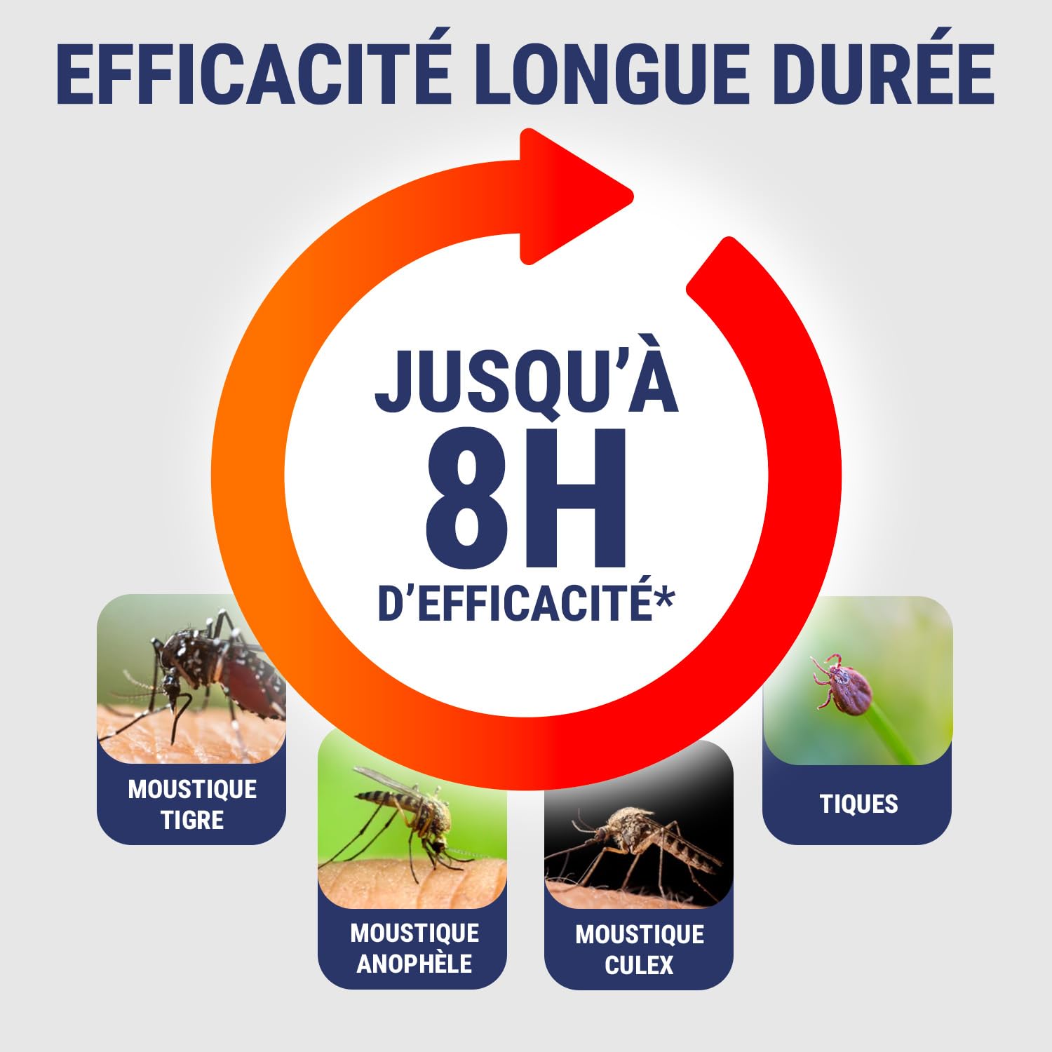 INSECT ECRAN - Spray Anti-Moustiques - Efficacité 8h - Protection contre les piqures de moustiques - Vêtements &Tissus - Sans odeur - Fabriqué en France - 100ml