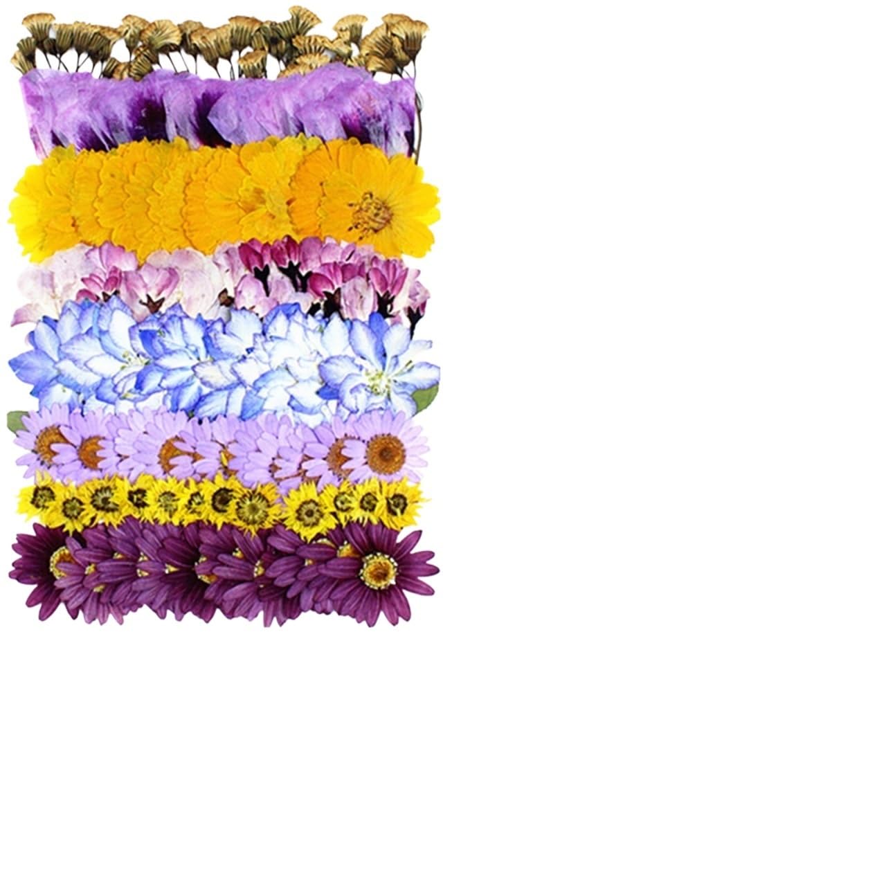Fiori Pressati ed Essiccati Kit materiale for pressare fiori secchi