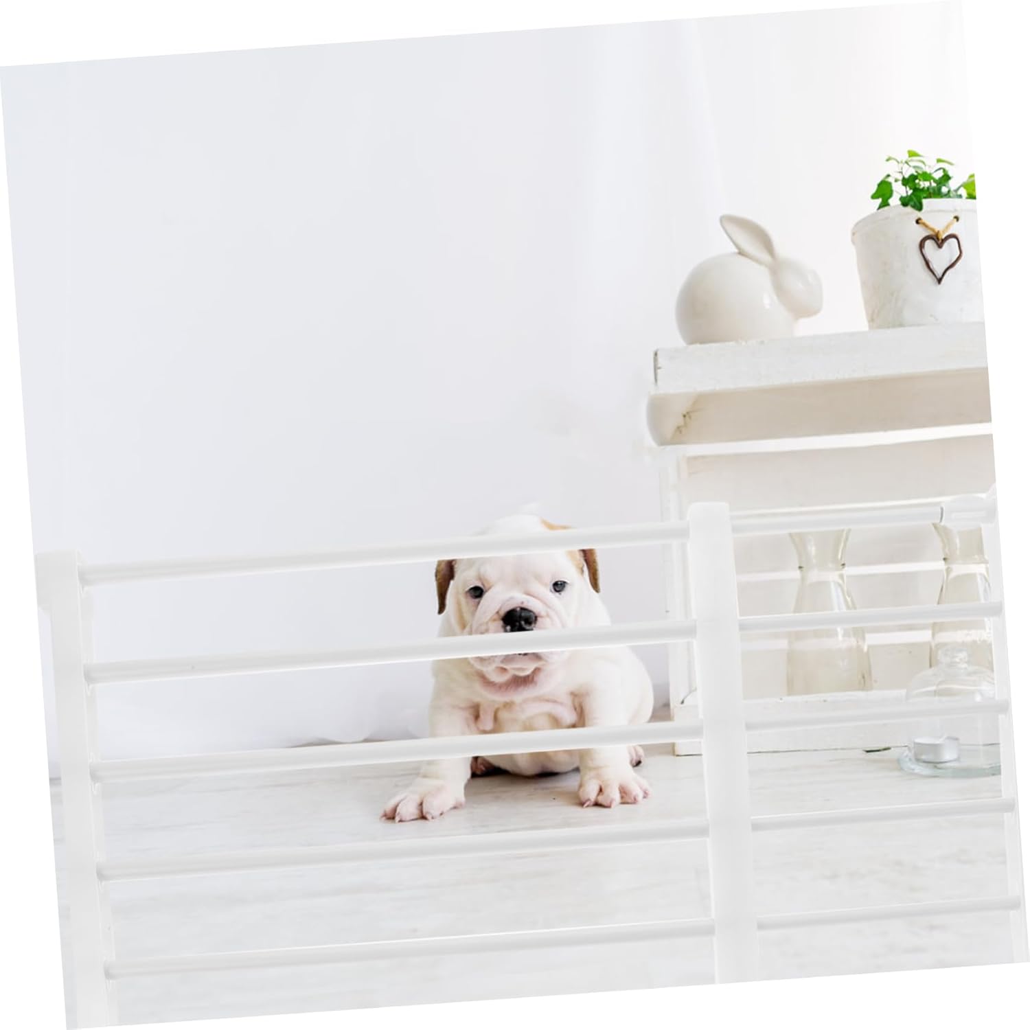 Retractable Dog Gate Pet Barrier for Indoor Use Fits Doorways Hallways Easy Installation Portable Dog Fence for Small Breeds Height