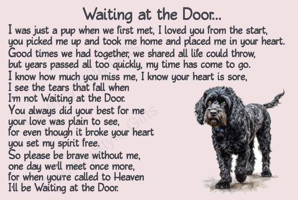 Black Cockapoo Sproodle Dog Memorial pet loss Fridge Magnet Gift - Waiting at the Door