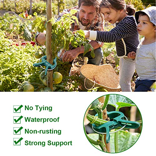 Monstake 40PCS Plant Support Clips for Gardening, Gentle Plant and Flower Clamps, Perfect Supporting Climbing Vines, Stalks, Stems Grow Upright Trellis Clip