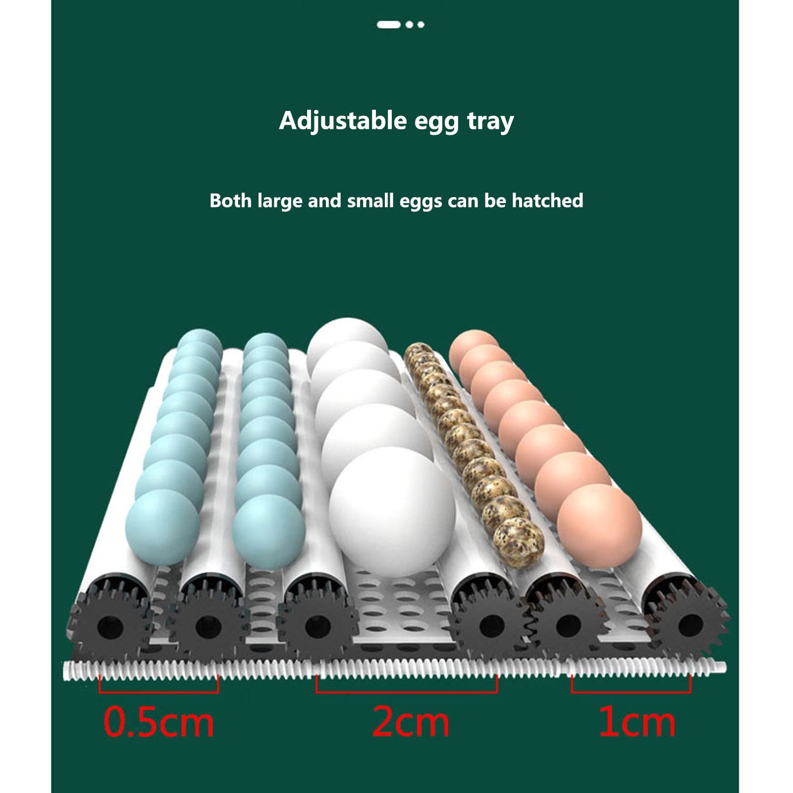 Amazon.co.jp: 36-72 卵自動インキュベーター、温度制御と卵回転大容量