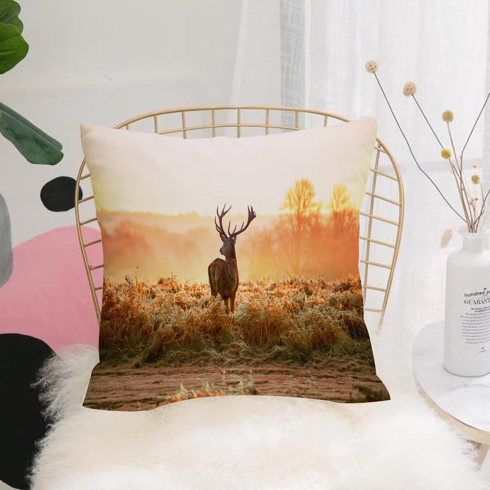 Hyosxw Red Deer In The Morning Sun Nature Wild Land - A4 Cushion Cover,Throw Pillow Case Home Decorative For Living Room Bedroom Sofa Chair 18X18 Inch,Red Deer In The Morning Sun Nature Wild Landscape Rural Field Heathers, M,Pillowcase 45X45cm