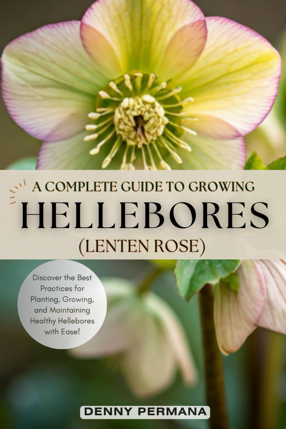 A Complete Guide to Growing Lush Hellebores (Lenten Roses): Discover the Best Practices for Planting, Growing, and Maintaining Healthy Hellebores with Ease!