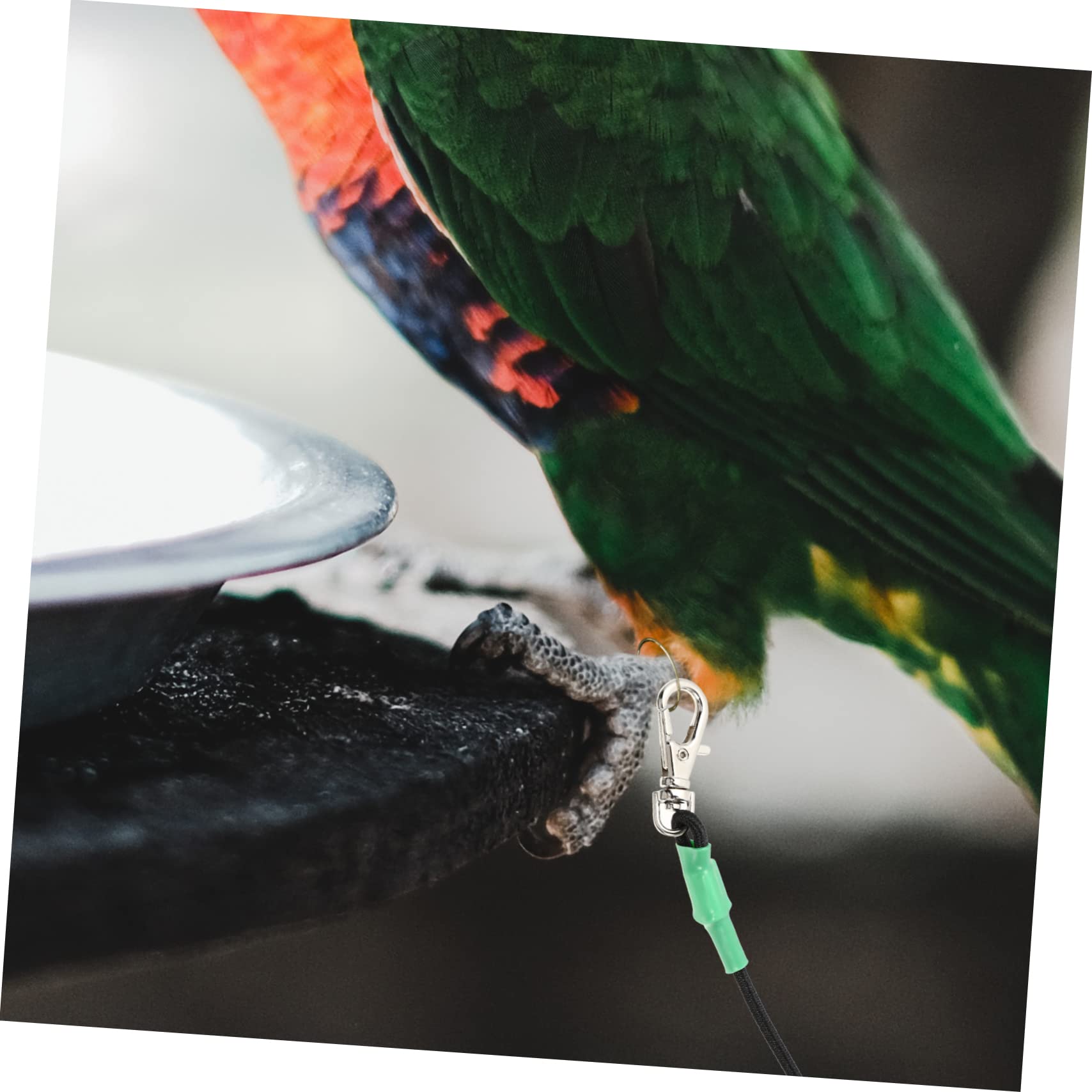 2 Correas para Pájaros Loros Cómodas Y Ligeras Ideales para Volar al Aire
