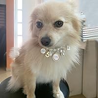 Vista 5 de Collares de perlas para perros, collar de perlas para mascotas, collar de lazo de princesa para perro, collar lindo para cachorros, joyería de gato