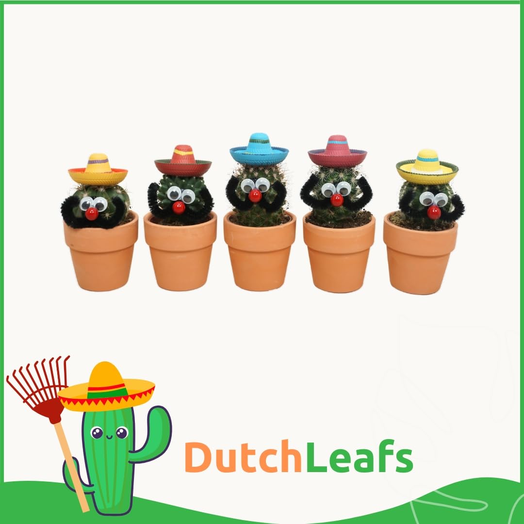 10 Stück Mexikanische Kakteen mit Sombrero im Ø 7 cm Terrakotta Blumentopf - Ideale Kaktus Deko für Zuhause, Büro, Restaurants, Hotels - Höhe 8-15 cm