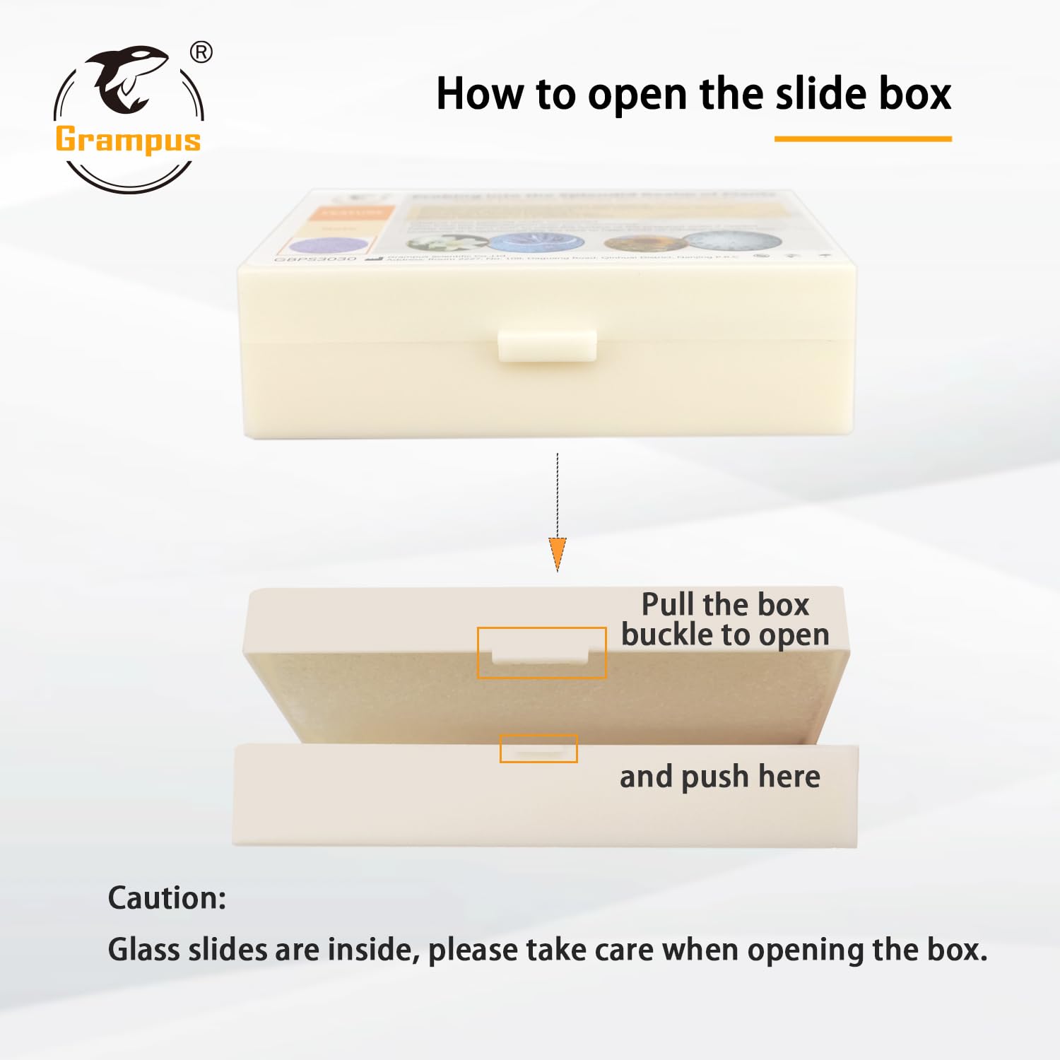 30 Prepared Microscope Slides with Specimens for Kids Students-Animal and Plant Microscope Slide Sets - Random Delivery (Either One Set) for Biological Lab, Children's Science Education, Homeschooling - Image 8