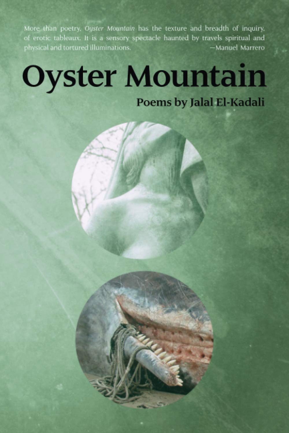 Oyster Mountain: Poems by Jalal El-Kadali