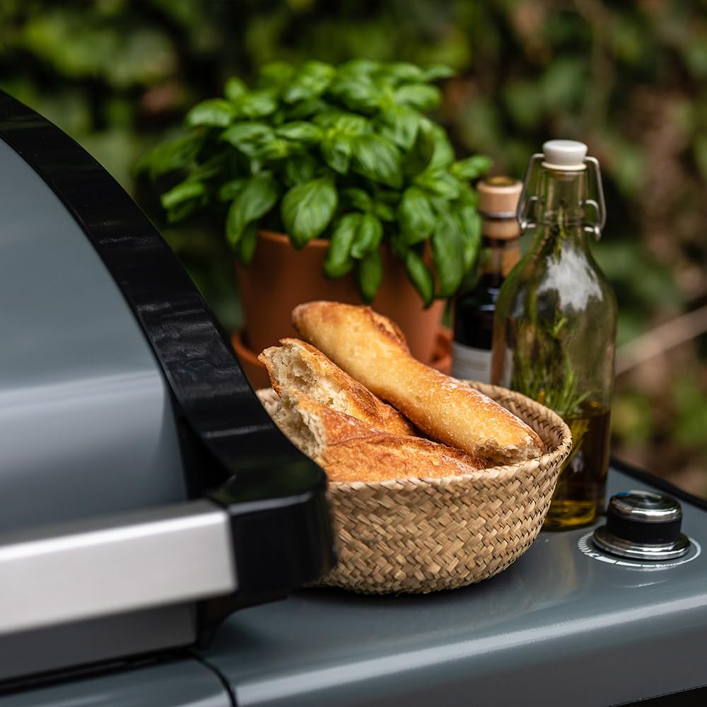 Barbecue à gaz Campingaz Premium 4S - Grill et Plancha