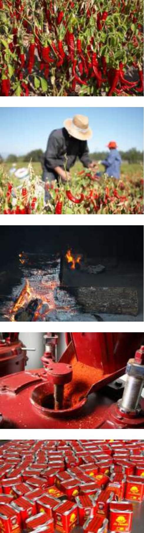 Paprika Fumé Doux La Chinata 500 Grammes