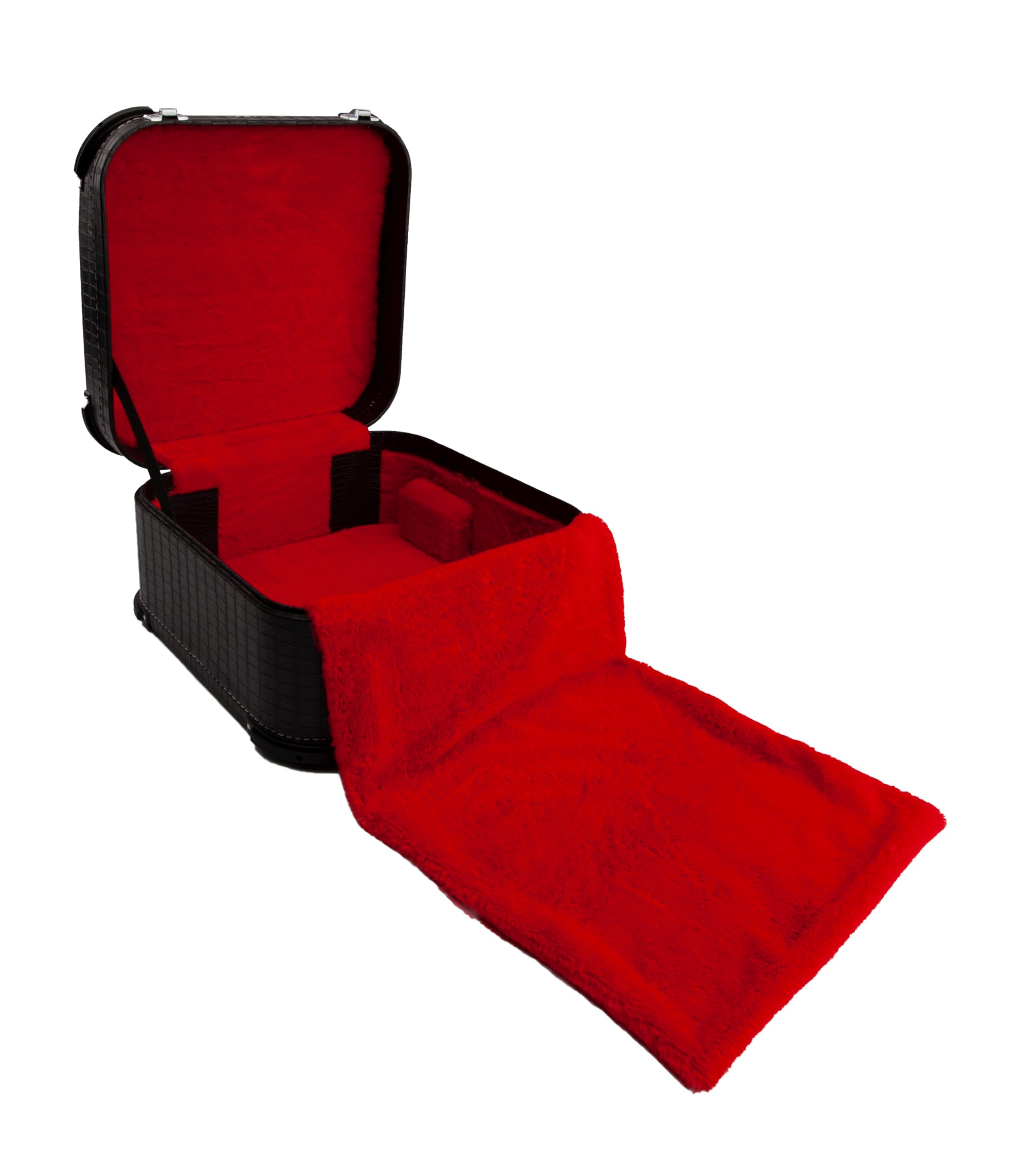 Amazon | Hohner 12X -DX Deluxe Case for 3100, CO, 3522