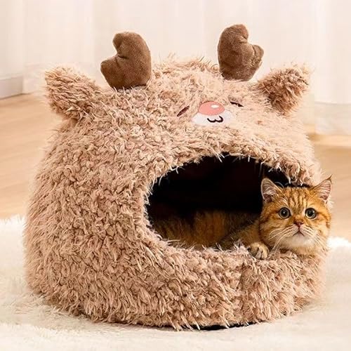 �L �x�b�h �~ ������� ���� �������� �L�x�b�h �l�R������ �_�炩�� �L�n�E�X �~ �ۉ��� �􂦂� �ӂ�ӂ� ��^ �g���� �L �n�E�X �~ �傫�� ���� �L�x�b�g �������薰�� �L �� �ʔN���p �L �h�[���^�x�b�h ���� �L���b�g�n�E�X �L ������