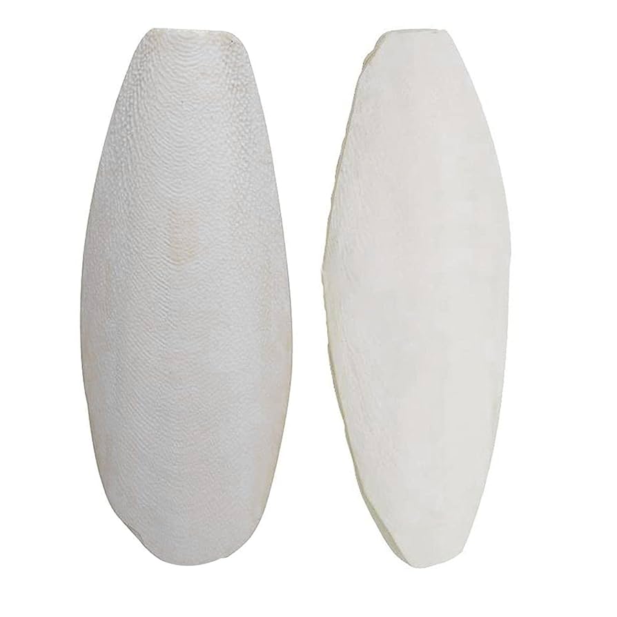 インコの壺　プレインカ Amazon | Roczential 2個入り ペット おもちゃ 鳥用 ベル インコ