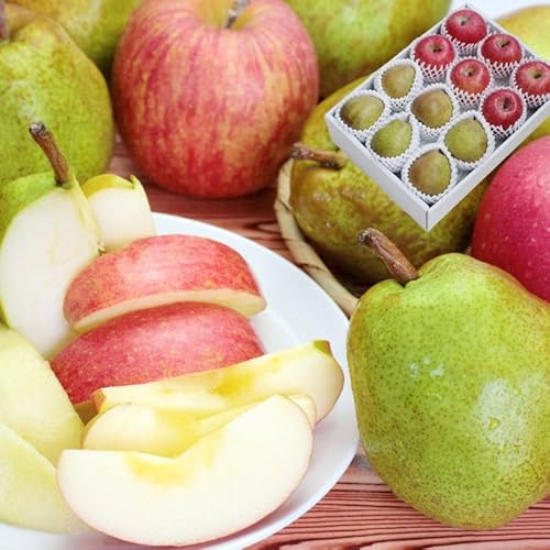 R`Y Tӂ񂲁EtXl 3kg ʃTCYiTӂFGiA5`6AEtXFGiA6j