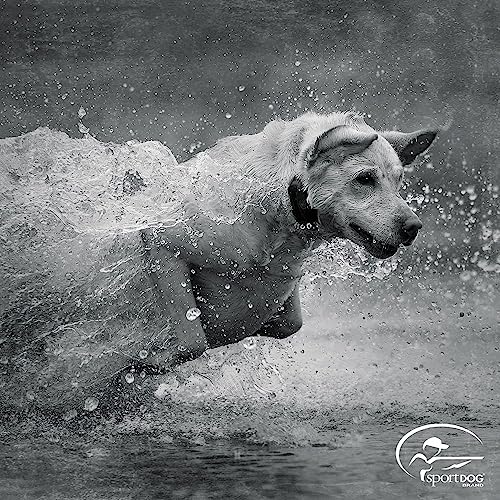 SportDOG TEK Series 2.0 Add A Dog GPS Collar - Image 4
