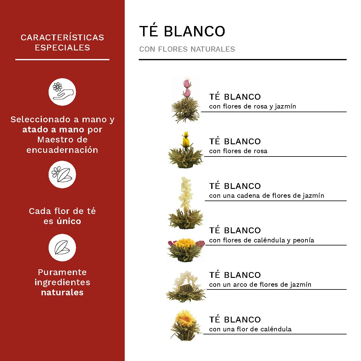 Creano Set de Flores de Té Blanco 6 uds y Tetera de Vidrio 500ml Antigoteo – Experiencia de Bienestar y Relax – Té Blanco Suave de Calidad Artesanal
